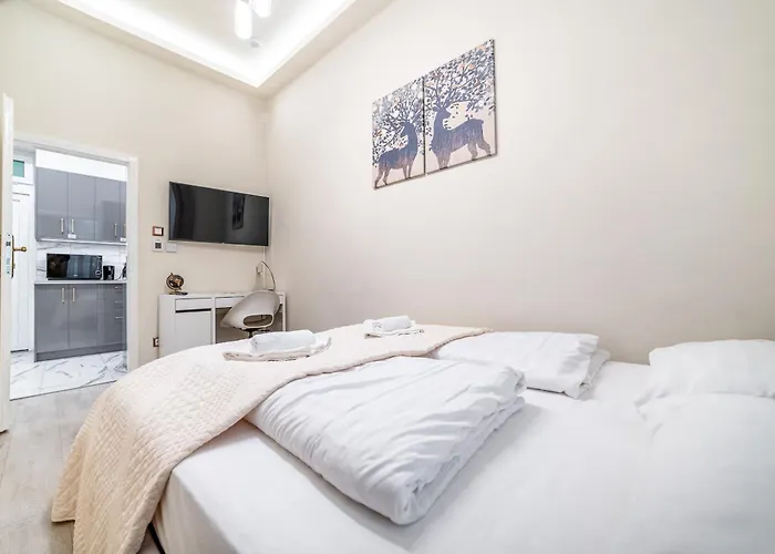 Apartment Dani Lux By Mital *